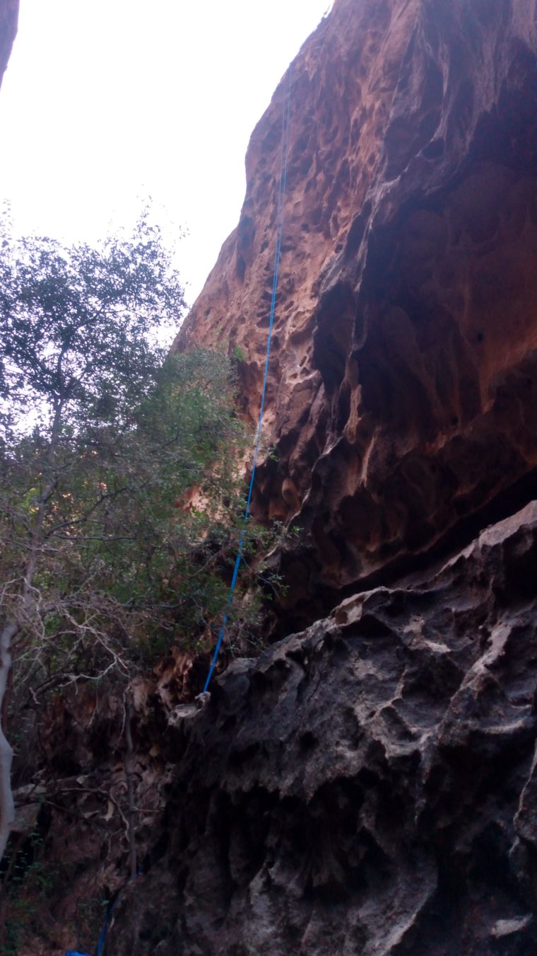Yellow Brick 5.9